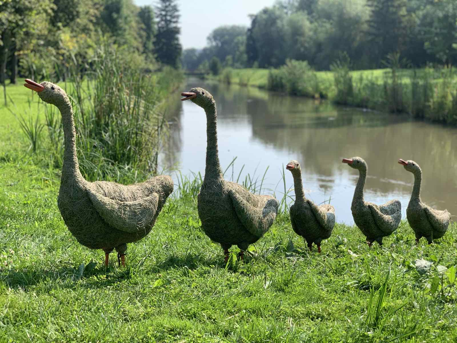У центральному парку Луцька «оселилися» птахи з трави (фото)