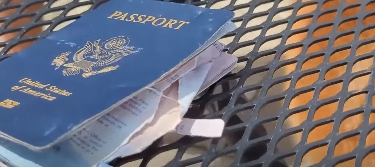 Собака з'їв паспорт за тиждень до весілля: чим все закінчилось