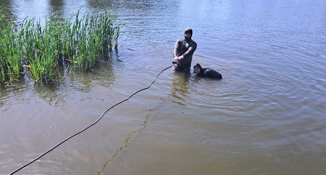 У Луцьку в Теремнівських ставках стирчала арматура (фото)