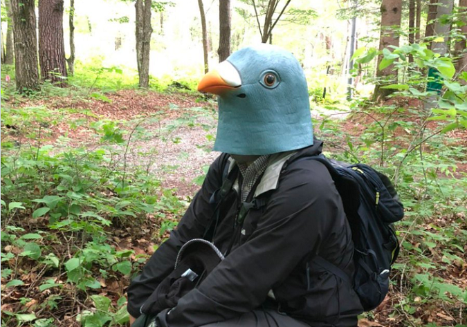 Вчений цілий рік носив гігантську маску птаха, щоб обдурити пернатих (фото)