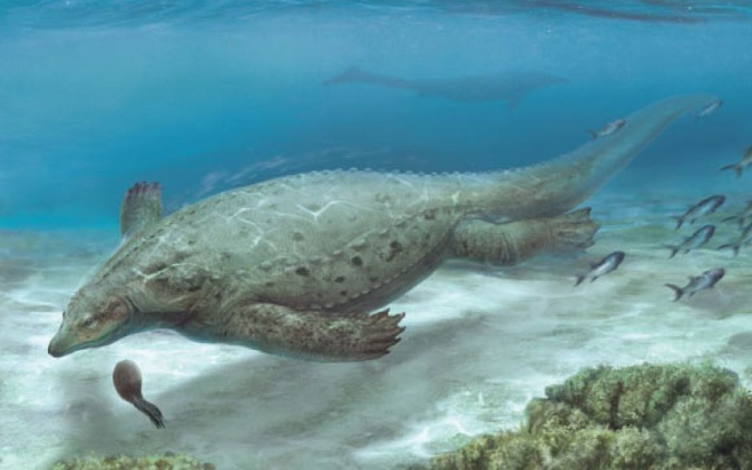 У Китаї виявили рештки броньованої морської рептилії
