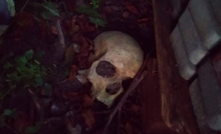 У центрі Луцька знайшли людський череп (відео)