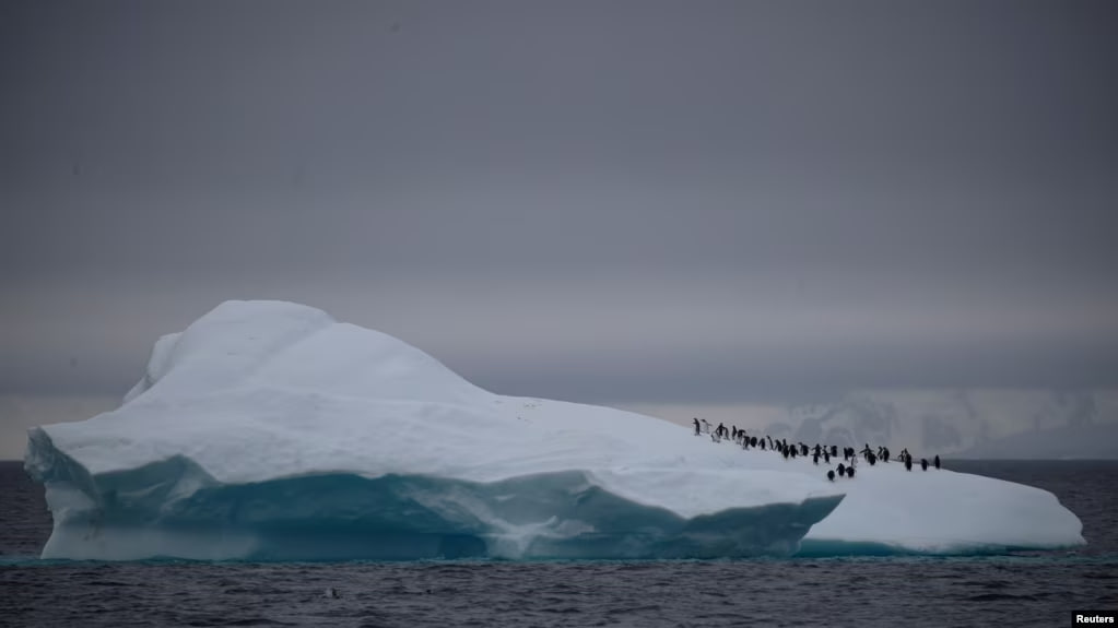 Зимова площа морського льоду в Антарктиді побила рекордний мінімум