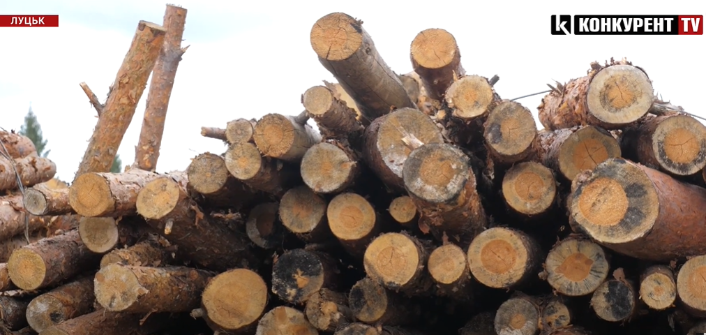 Скільки коштують дрова на Волині перед опалювальним сезоном (відео)
