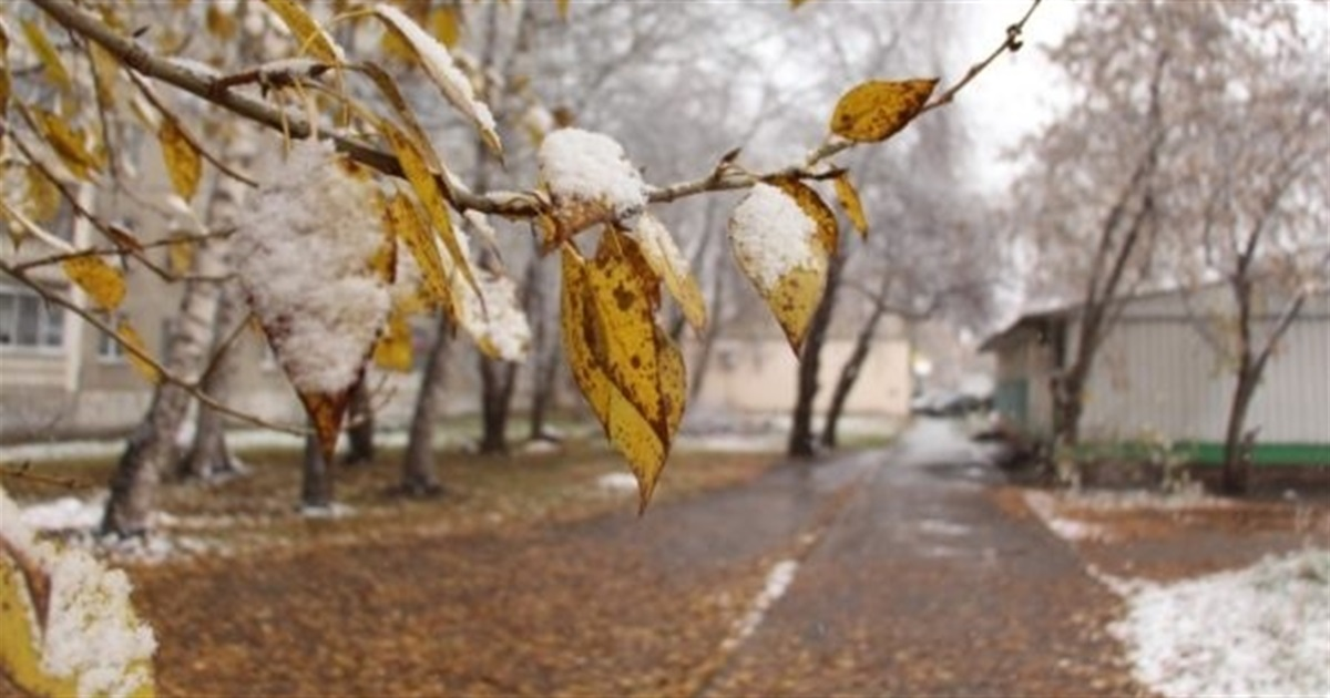Коли в Україні випаде сніг