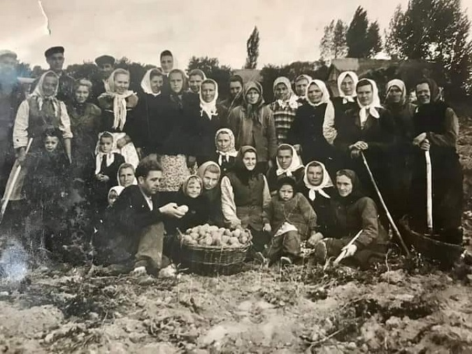 Серйозні, радісні та вдумливі: показали волинян під час збору врожаю у 1960-х (фото)