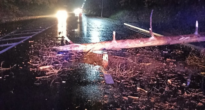 Неможливо проїхати: у Ківерцях буревій завалив на дорогу дерево (фото)