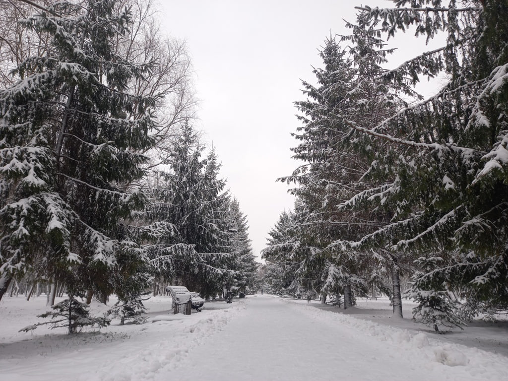 Сніжно й з морозцем: погода у Луцьку на вівторок, 28 листопада