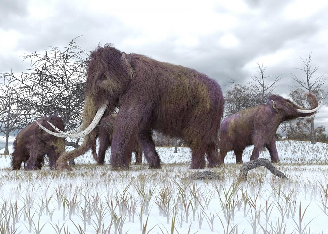 Вчені планують через 5 років оживити мамонтів з Льодовикового періоду