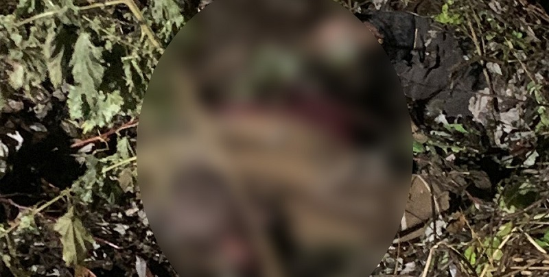 У Луцькому районі жорстоко вбили чоловіка, а труп заховали в кущі (фото)