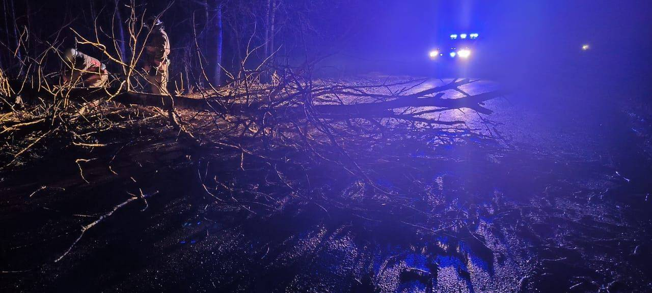 На Ковельщині серед дороги впало дерево і заблокувало рух: працювали рятувальники