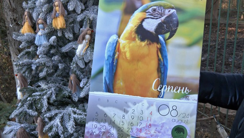 Луцький зоопарк випустив свій календар: який він має вигляд (відео)