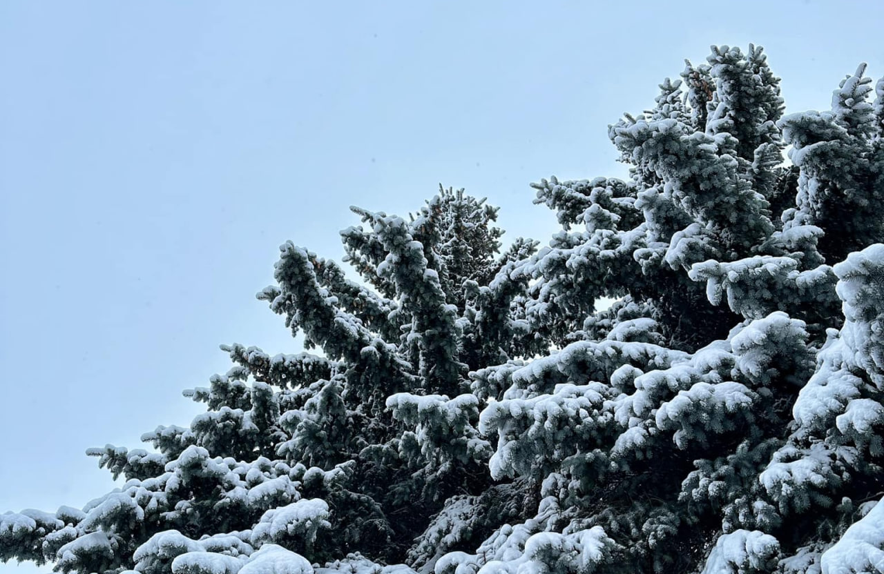 Перший у 2024: на Любешівщині випав сніг (фото)