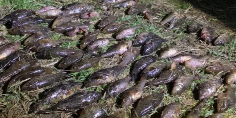 Риба на мільйон: на Волині судитимуть 36-річного браконьєра (фото)