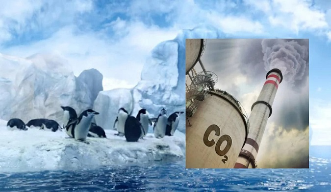 Пінгвіни в небезпеці: кислотність вод Антарктики подвоїться до 2100 року