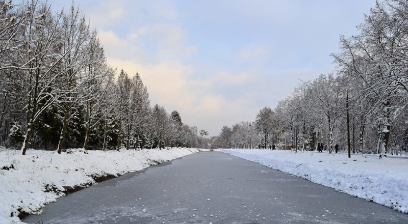 Хмарно, з мокрим снігом: погода у Луцьку на вівторок, 23 січня