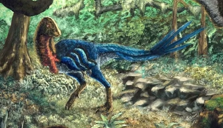 У США студент відкрив новий вид динозаврів, коли робив навчальний проєкт