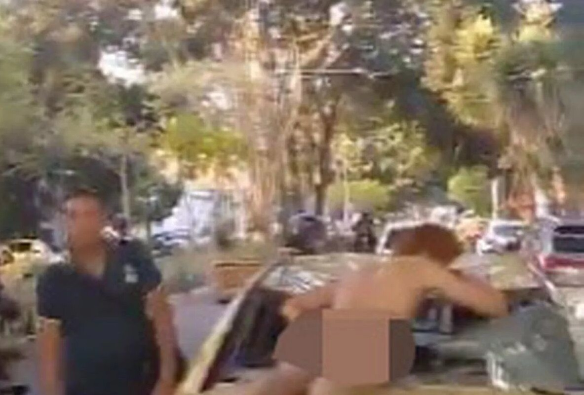 Голий чоловік гепнувся з дерева на таксі (фото)
