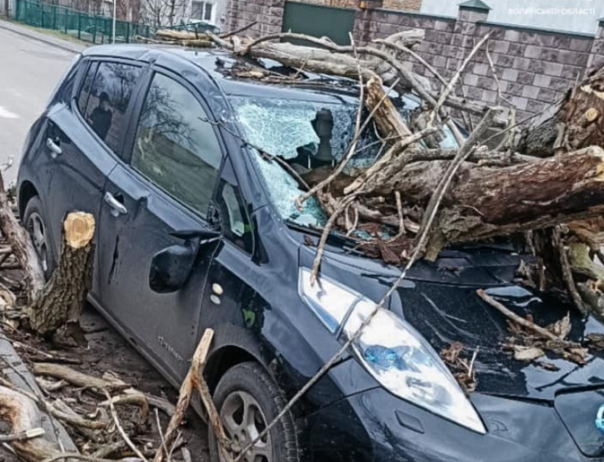 Повалені дерева й розчавлені автівки: у Луцьку негода накоїла лиха (фото)