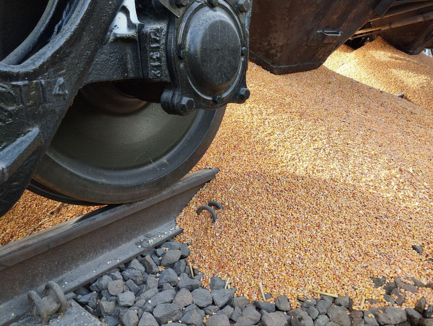 🤬 Польські фермери перекрили залізницю та висипали зерно з вагону