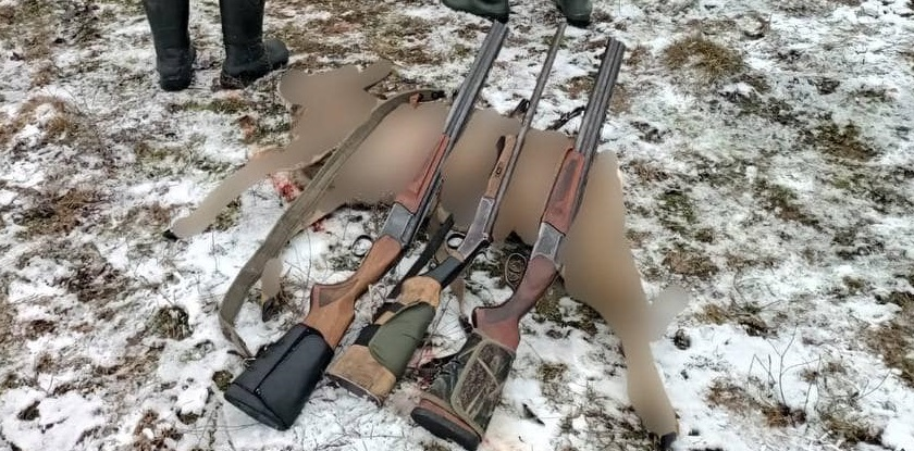Чоловіка, який застрелив козулю в Луцькому районі, оштрафували на 32 тисячі