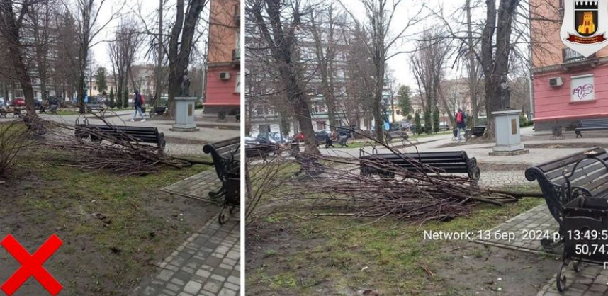 Дерева кронували, а гілля не прибрали: у центрі Луцька захарастили сквер (фото)