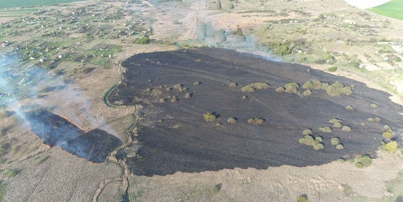 На дачному масиві під Луцьком жінка випадково підпалила поле (фото)