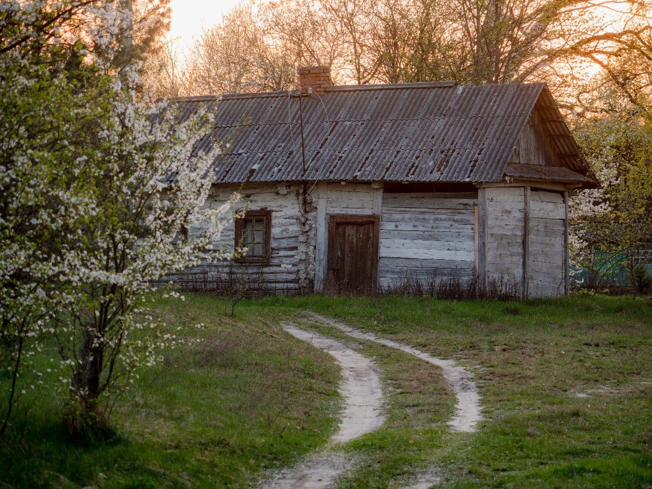 Все цвіте і пахне: весна в селі на Волині (фото)