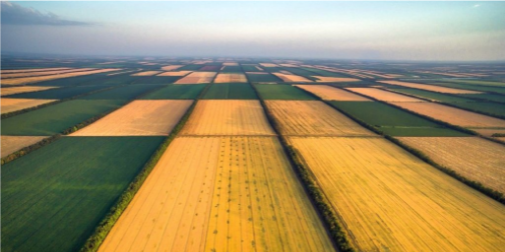 В Україні планують спростити механізм набуття прав на земельні ділянки