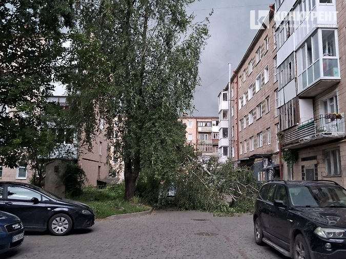 Луцьк раптово накрила потужна злива: буревій повалив дерева (фото, відео)