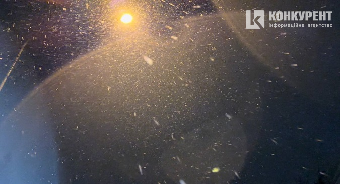 Повний jingle bells: у Луцьку випав перший сніг (фото)